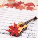 우쿨렐레&초등기타 이미지