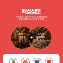 젤리조아 이미지