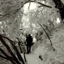 집단시설지구 이미지