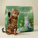 행복한고양이 - 고양시 일산동구 무궁화로 32-21 | 일산 고양이 카페 캣플헤븐에서 아이들과 함께한 행복한 하루