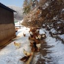 설산농장 이미지