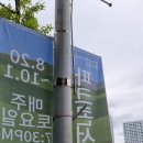 최백호 박주원 콘서트 | 2022 분당 중앙공원 파크콘서트 송영주퀀탯+알리, 선우정아 공연 관람 후기:직캠도 있어요.