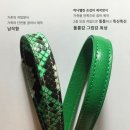 딥파이톤