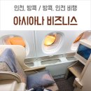 (주)태리네트웍스인천 | 방콕 항공권, 인천 방콕 아시아나 비즈니스 스마티움 기내식 후기