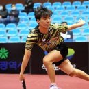 탁구 (B) 이미지