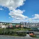 상대동-1 이미지