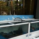 서변월드메르디앙아파트 앞 이미지