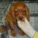 은평-021 이미지