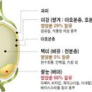 賴及萬方 이미지