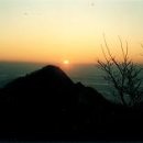 강화도령 이미지