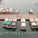 서산소나무힐링 이미지