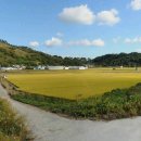 진상면사무소 이미지