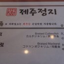 제주정지 티스토리
