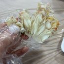 영덕대게식당 | 포항 죽도시장 대게맛집 갈릴리대게회식당 영덕대게세트 가족외식 후기