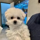 눈코입
