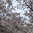 수원하늘채더퍼스트1단지 | 수원 하늘채 더 퍼스트 1,2단지 정보