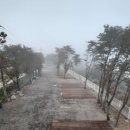 강나루캠핑야영장 이미지