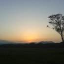 보영목장 이미지