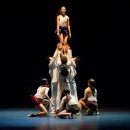 2015 춤으로 갈무리하다 이미지