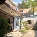 푸른솔어린이집 30m 경계 | 2020년 4월 - 바쁜 나날들