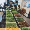 팜팜대패 | (울산 달동 고기집)팜팜대패 후기