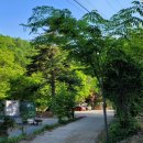 직천민박 이미지