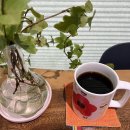 전홍태커피 이미지