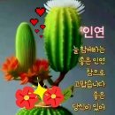☆ 평 화 ☆ "이란 다음은 북한 아니냐"는 반응. 그럴듯하지만 아니라고 이미지