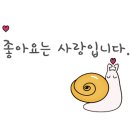 안녕바다6 이미지