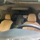 하이포레버 이미지