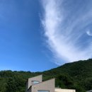 스테이 경화 이미지