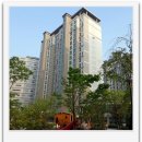 판교시티공인중개사사무소 이미지