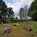 넝쿨농장 이미지