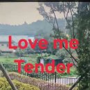 Love me tender 이미지