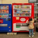 부산소방본부/동래소방서 | 대마도 1박2일 여행 히타카츠 호텔 자전거 코스