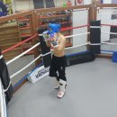 링 종합격투기 이미지