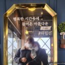 부흥로 메타세콰이아길 | 겨울에 떠나는 대부도 여행 - 방아머리 해수욕장, 방아머리 먹거리 타운, 대부 바다향기 테마파크...