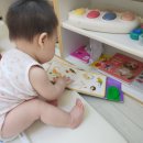 9개월 아기 책 [ 말재미 베베똑 ] 당근 후기