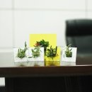(사)한국장애인농축산기술협회 이미지