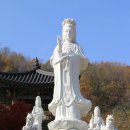 동남의지 이미지