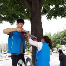 대구나무병원