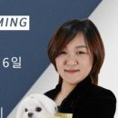 더왈츠앤조이피아 이미지