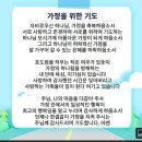 엘콩작은도서관 이미지