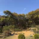 숲속반디어린이집 | 인천 반디세상 숲 놀이터 추천 (입장료, 놀 거리, 준비물)