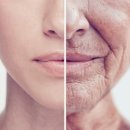 비올라셀성형외과의원 이미지