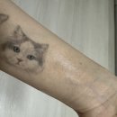 셀코아 이미지