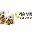 두바이공인중개사사무소 네이버블로그