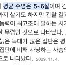 아시발 늑대 수명 15살로 보고 아직 멀얼는데 벌써 왜그러지 햇거든 이미지