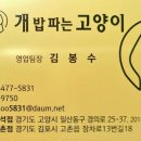 개밥파는 고양이 야당점 이미지