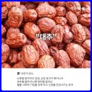 어성초영농조합법인